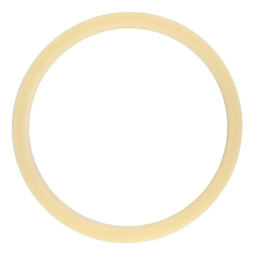 AGCO | GASKET - D45403700