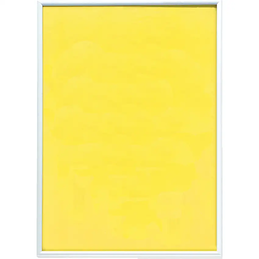 (Unbranded) ALUMINIUM FRAME 210x297mm A4 PERSPEX