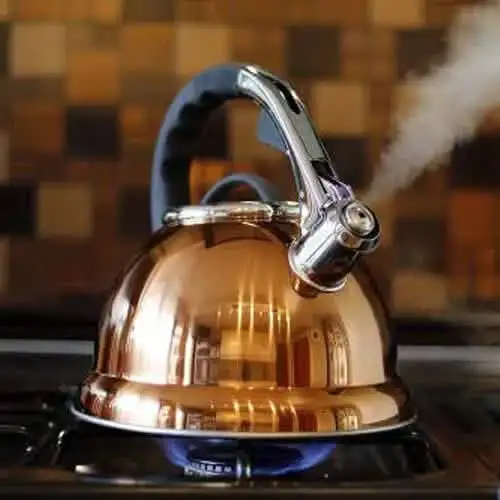 Copper Whistling Kettle Gas Electric & Induction Hobs Voche 3.5L (Stainless Steel)